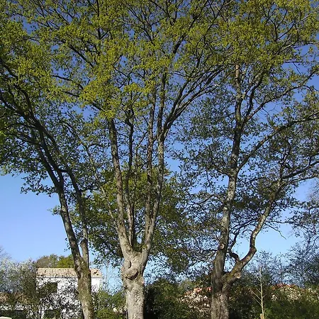 L'aumonerie Panzió 2*